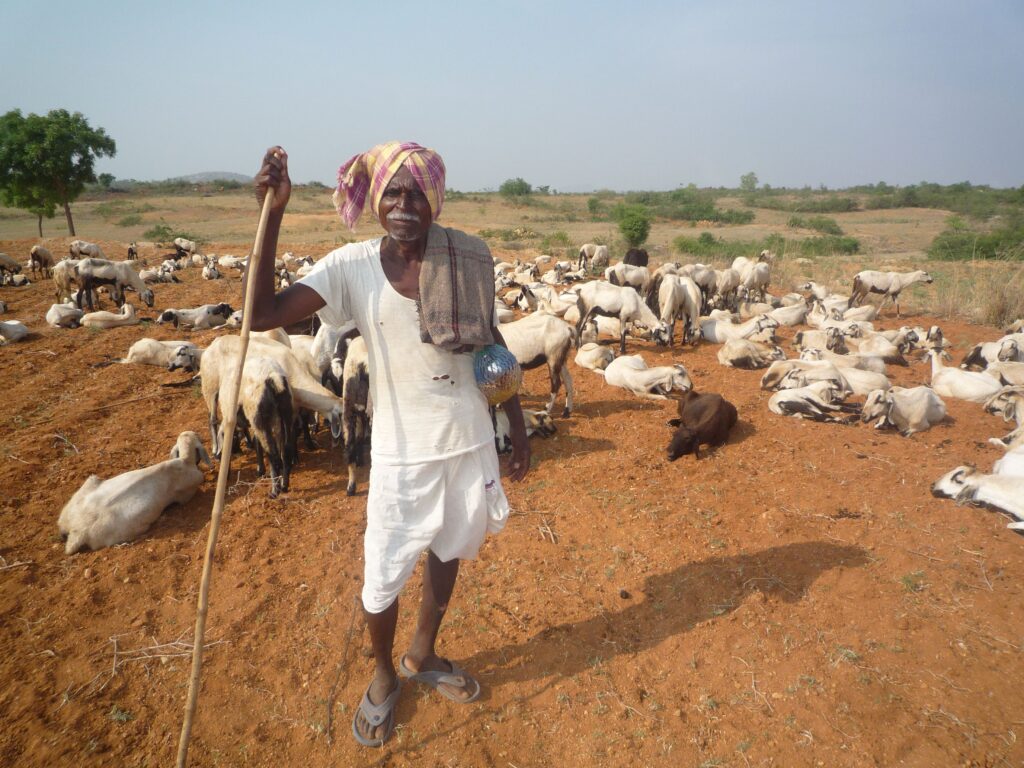 Umbrella Programme on Natural Resource Management (UPNRM)