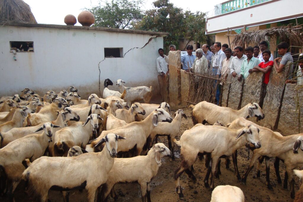 Umbrella Programme on Natural Resource Management (UPNRM)